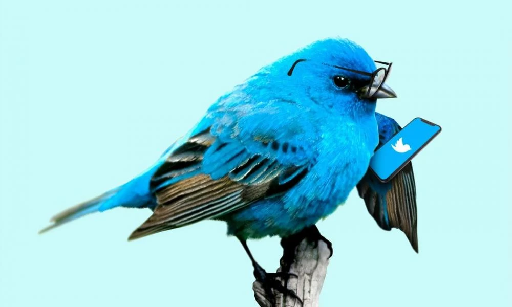 Twitter: Βρετανός 19χρονος ανάμεσα στους χάκερς που το “ξεγύμνωσαν”